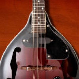 mandolin-str