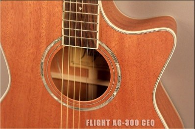 flight-ag-300-ceq-ns-6