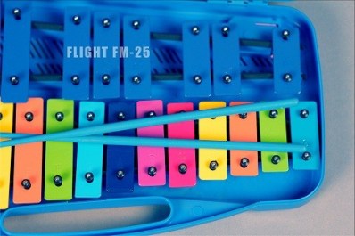 flight-fm-25-3