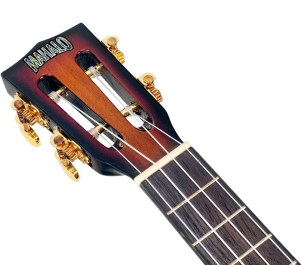 MJ33TS_headstock