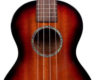 MJ33TS_soundhole