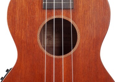 MJ3VTtbr_soundhole