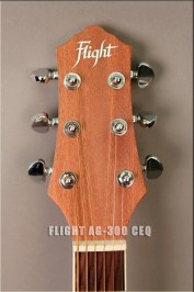 flight-ag-300-ceq-ns-9