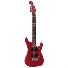 washburn-n2ps